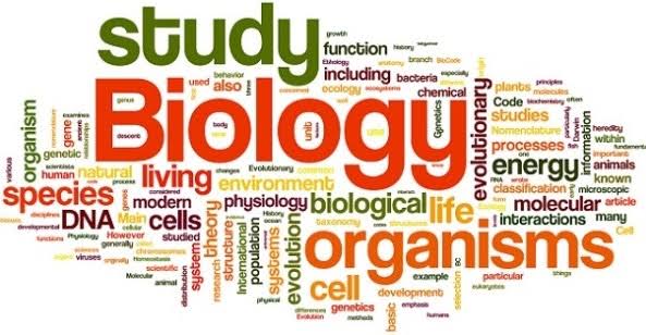 Biologi, Ilmu Tentang Segala yang Hidup