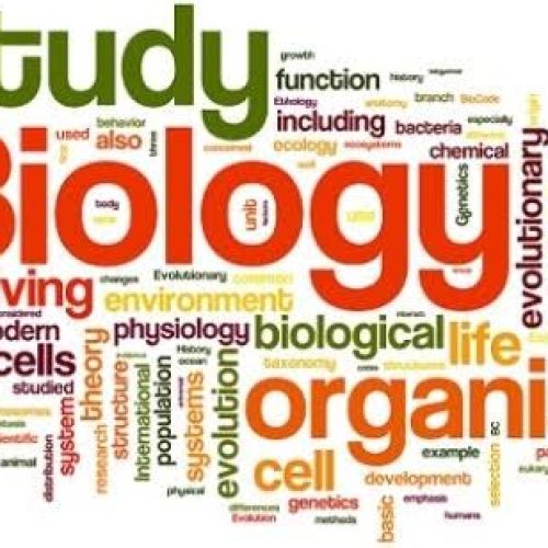 Biologi, Ilmu Tentang Segala yang Hidup